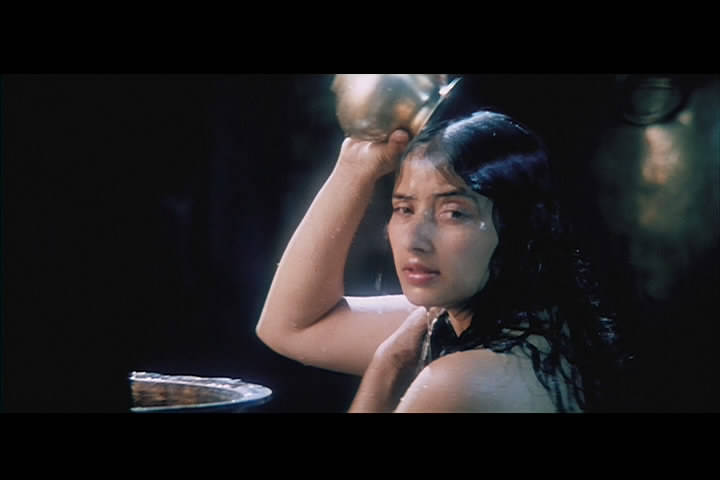 From the Heart / Dil Se best indian films